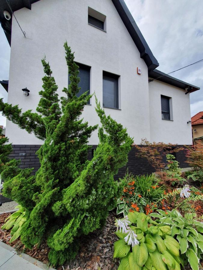 Willa Tweed House Budapeszt Zewnętrze zdjęcie